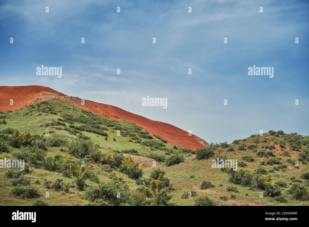 Primavera in una valle arida tra le colline rosse, una destinazione popolare per le attività ricreative e i viaggi, questo pittoresco paesaggio mette in risalto la bellezza naturale Foto Stock