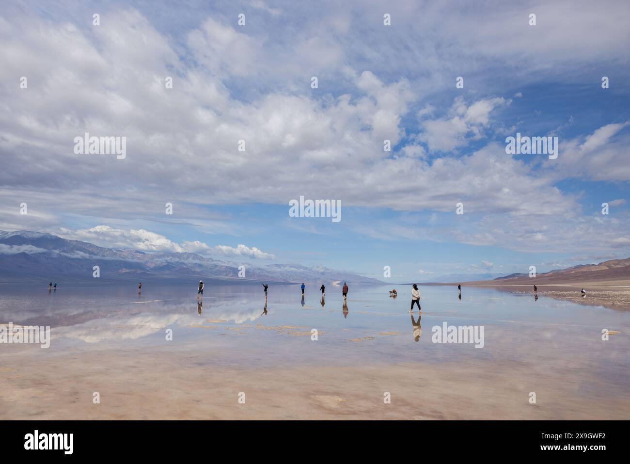 Persone che nuotano nel lago Manly a Badwater Basin dopo un inverno umido, nel Death Valley National Park, California Foto Stock