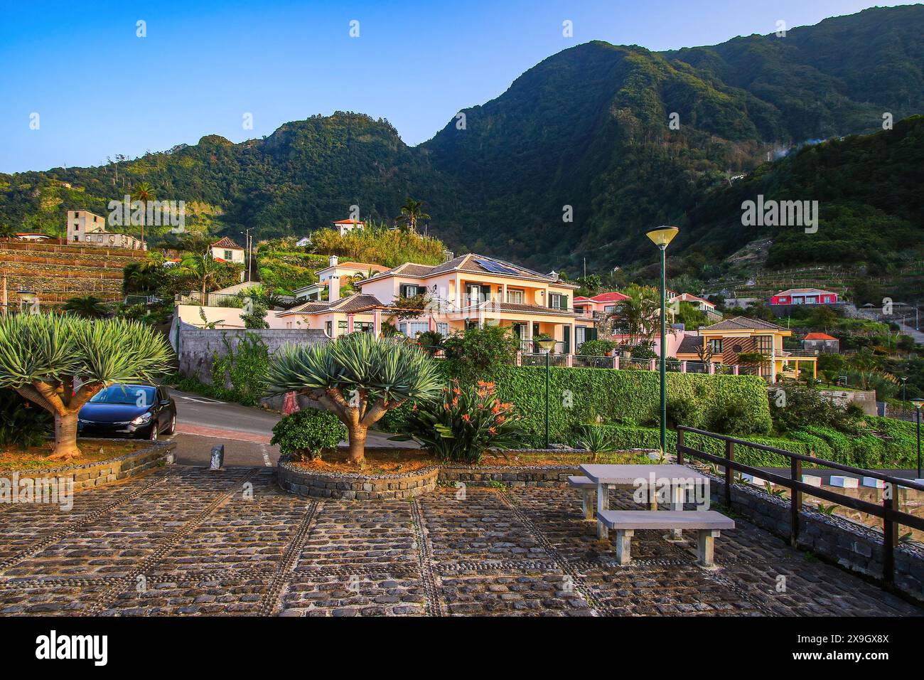 Residenza di lusso a Ponta Delgada, un piccolo villaggio sulla costa settentrionale dell'isola di Madeira (Portogallo) nell'Oceano Atlantico, decorata con Dracaena Draco Foto Stock