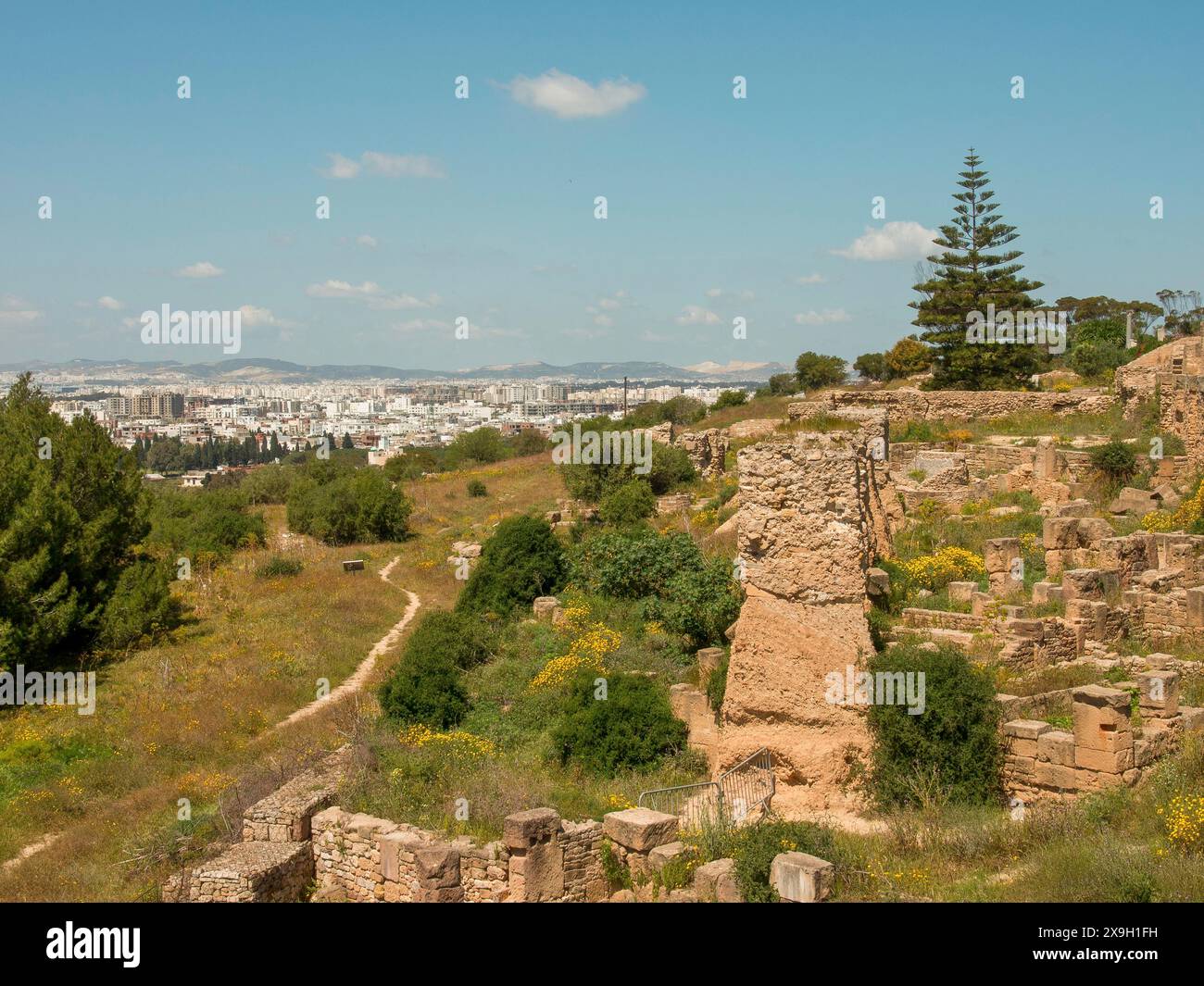 Rovine e paesaggio urbano sullo sfondo con vegetazione e un sentiero sotto un cielo blu, Tunisi in Africa con rovine dell'epoca romana, moschee moderne e. Foto Stock