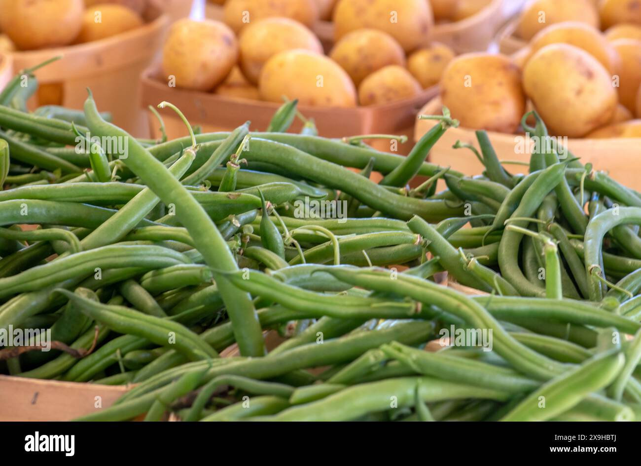Pile di fagiolini freschi e patate sono vendute in un mercato agricolo del Michigan Foto Stock