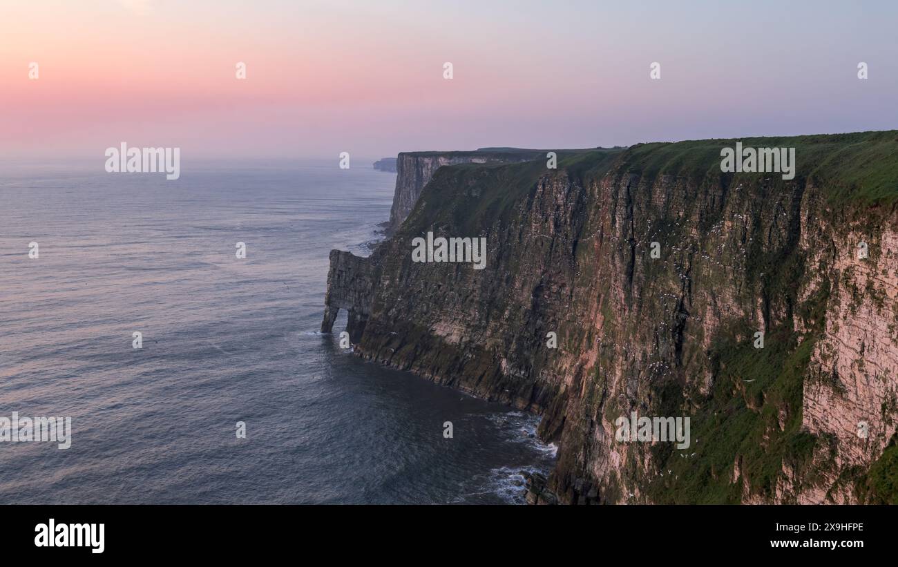 Alba sulle scogliere di Bempton, East Yorkshire, Regno Unito Foto Stock