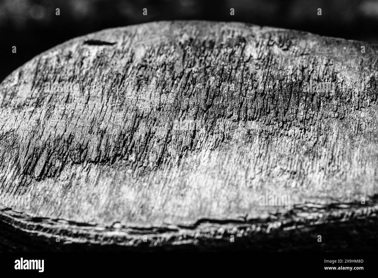 Bianco e nero lo sfondo di legno Foto Stock