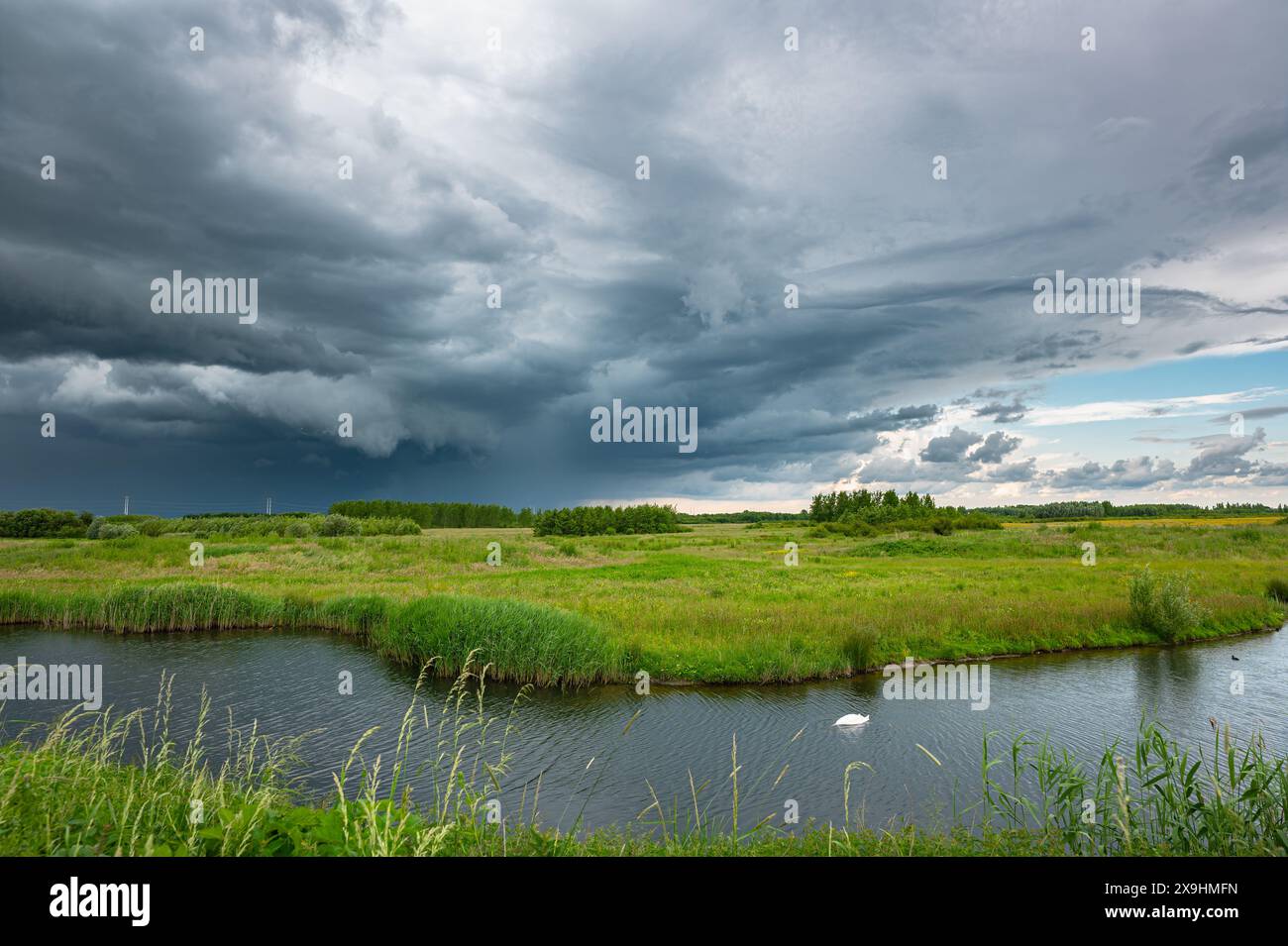 Splendida immagine del paesaggio di un forte temporale sopra la riserva naturale di Bentwoud nei Paesi Bassi occidentali. Foto Stock