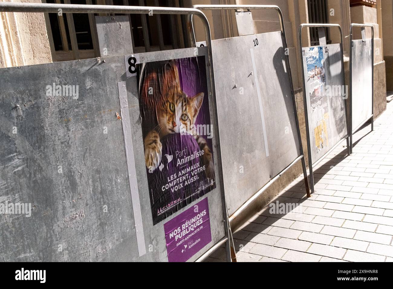 Manifesto della campagna elettorale per l'elezione europea della lista del partito animalista a Tolosa, regione dell'Occitania in Francia il 30 maggio 2024. Affiche de campagne pour Foto Stock