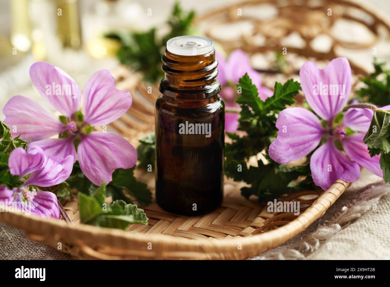 Una bottiglia marrone contagocce di olio essenziale mallow con la fioritura della pianta malva sylvestris Foto Stock