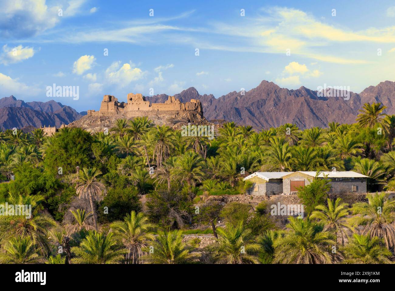 Splendidi paesaggi, Rustaq. Mascate, Oman. Famosi luoghi turistici in Oman. Foto Stock