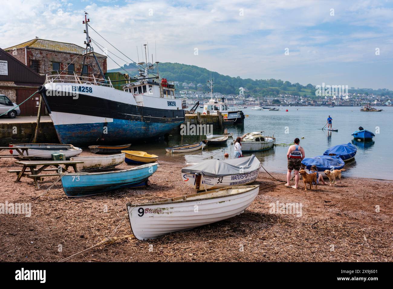 Fish Quay, Teignmouth, Devon Foto Stock