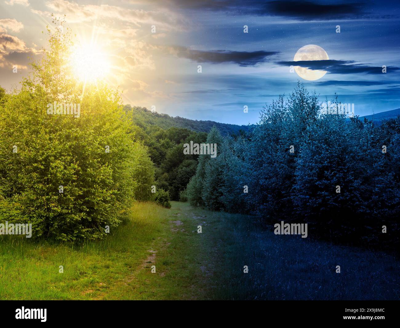 sentiero attraverso la foresta decidua al solstizio d'estate. cielo con sole e luna sopra la collina. concetto di cambiamento di orario diurno e notturno Foto Stock