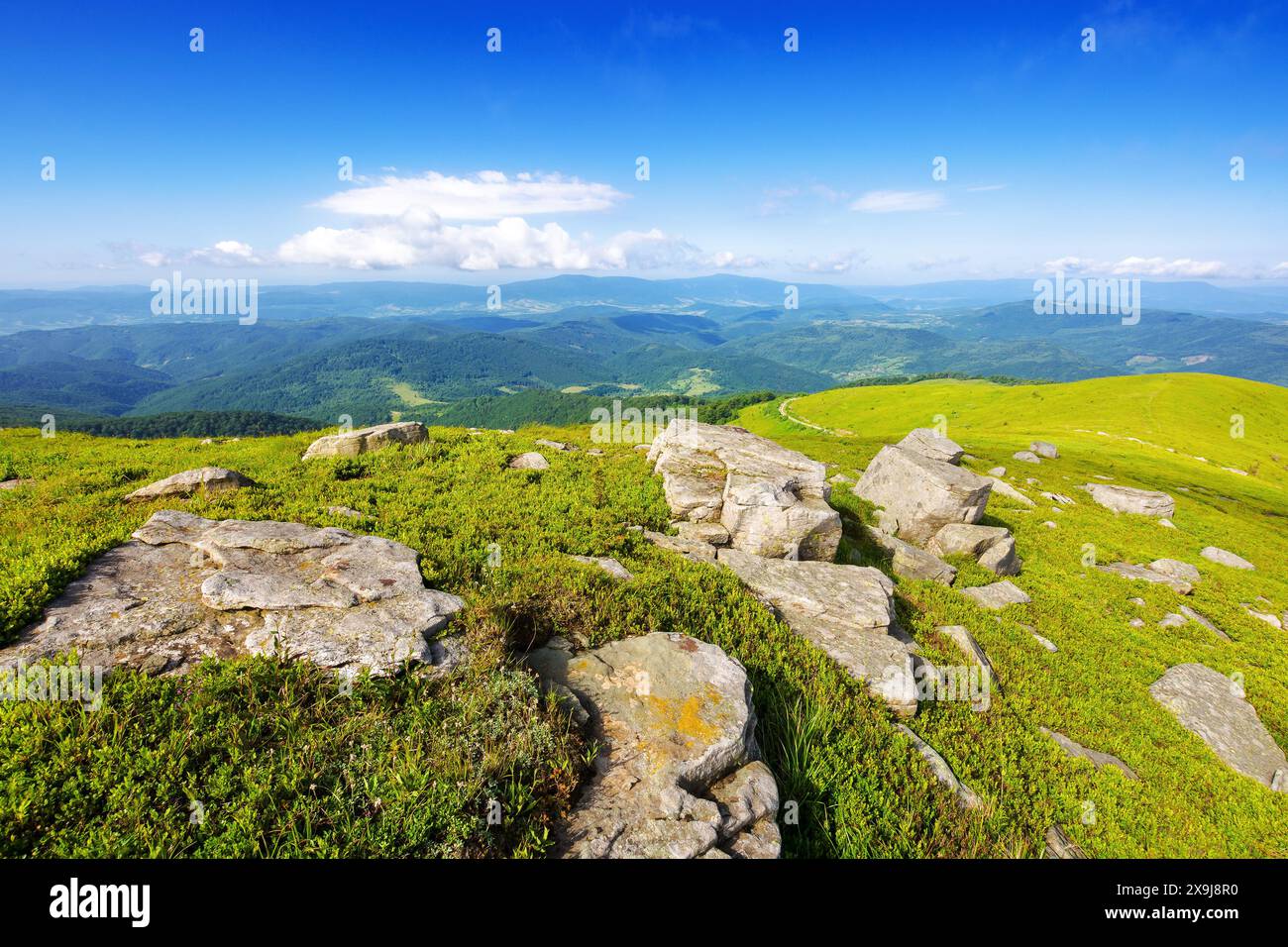 paesaggio alpino dei carpazi ucraini in estate. pietre e massi sul prato erboso. paesaggio sulla cima della montagna liscia di trancarpati Foto Stock