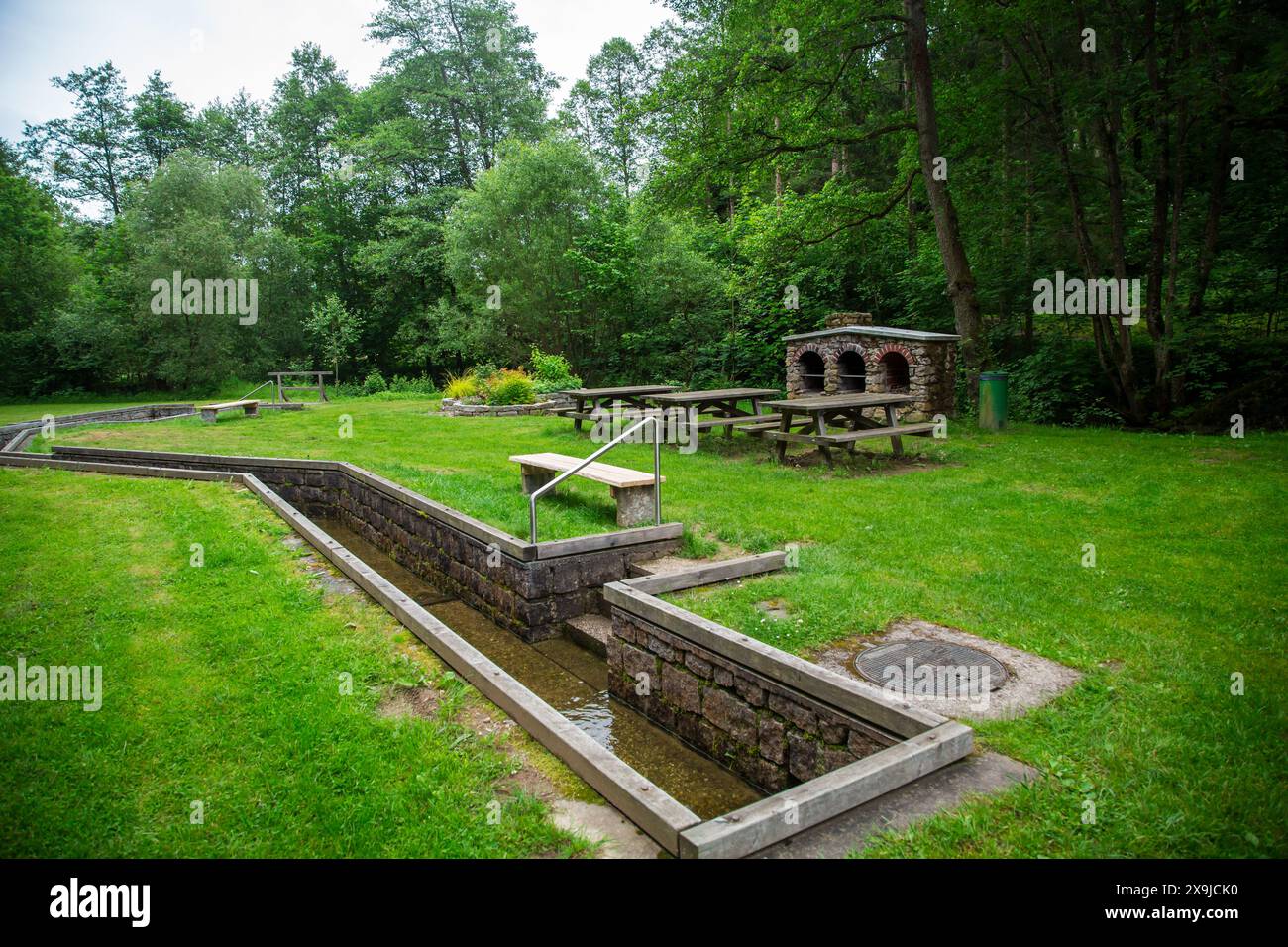 Bacino Kneipp e area barbecue nel Gabrielental Weitra, Waldviertel, Austria Foto Stock