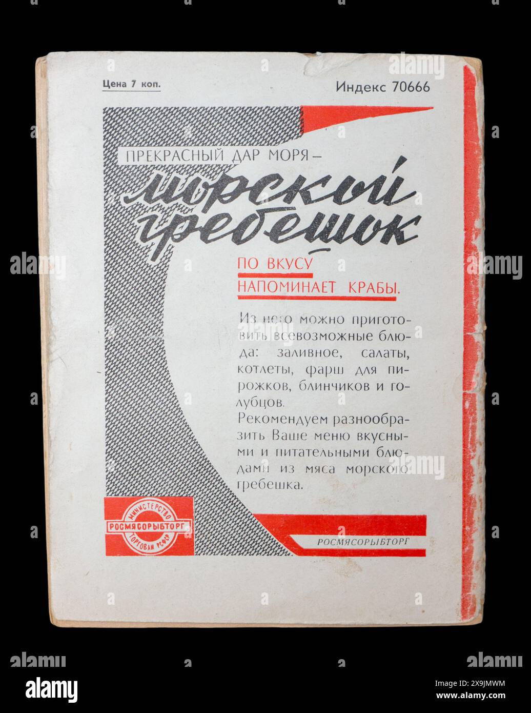 A Young Doctor's notebook (in russo: «Записки юного врача» Zapiski yunogo vracha, letteralmente "Note di Un giovane medico"), noto anche come A Country Doctor's notebook di Mikhail Bulgakov, pubblicato per la prima volta nel 1963 in URSS. Foto Stock