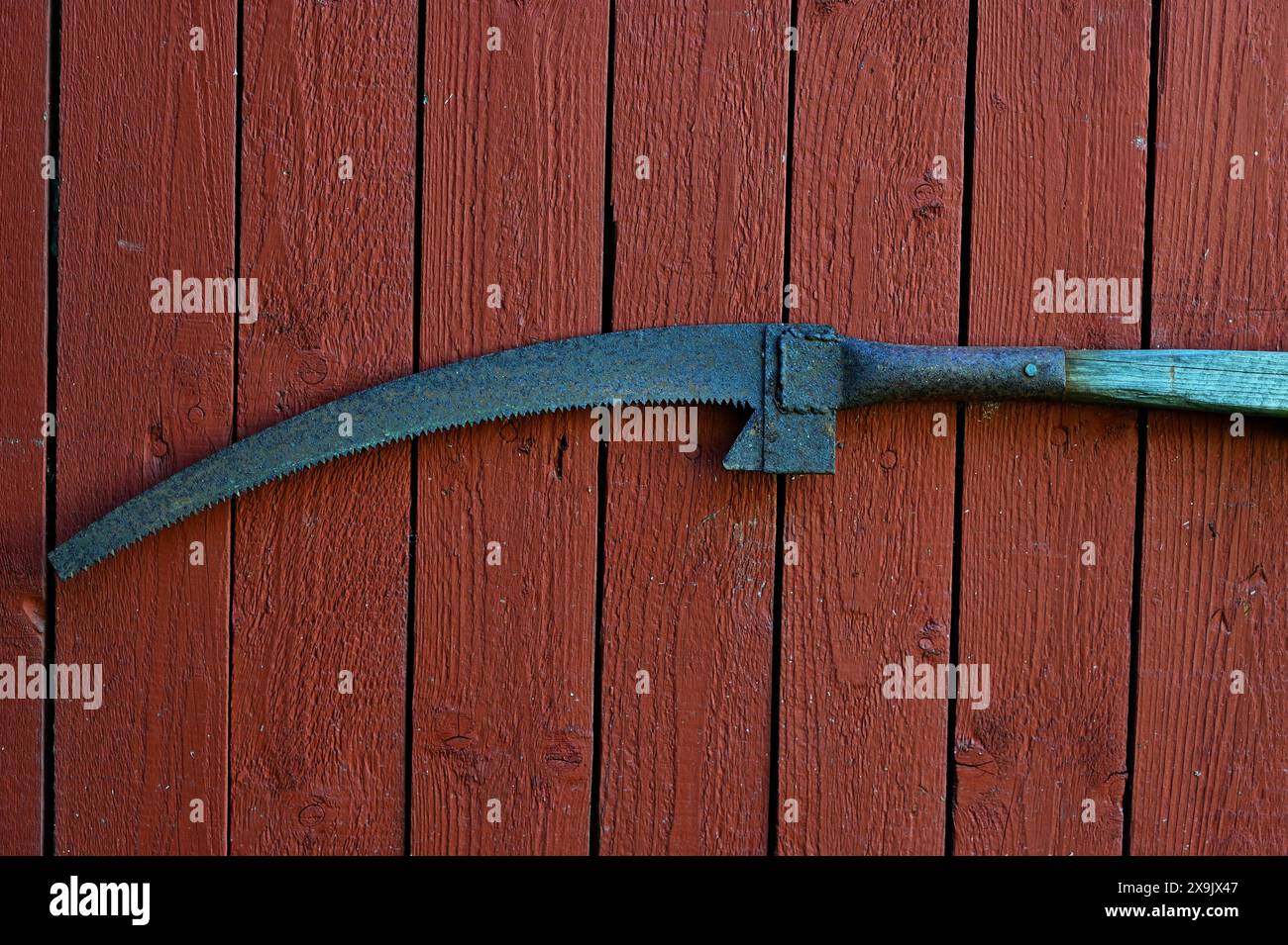 vecchia sega da giardino arrugginita per rami su un muro di fienile rosso Foto Stock