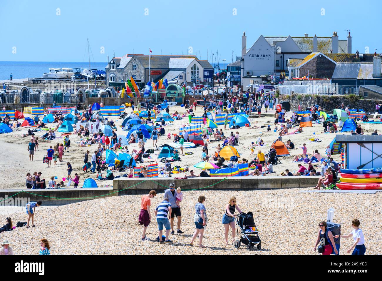 Lyme Regis, Dorset, Regno Unito. 1 giugno 2024. Meteo nel Regno Unito: Famiglie, turisti e bagnanti affollano la spiaggia presso la località balneare di Lyme Regis per godersi il caldo torrido il primo giorno d'estate. Crediti: Celia McMahon/Alamy Live News. Foto Stock