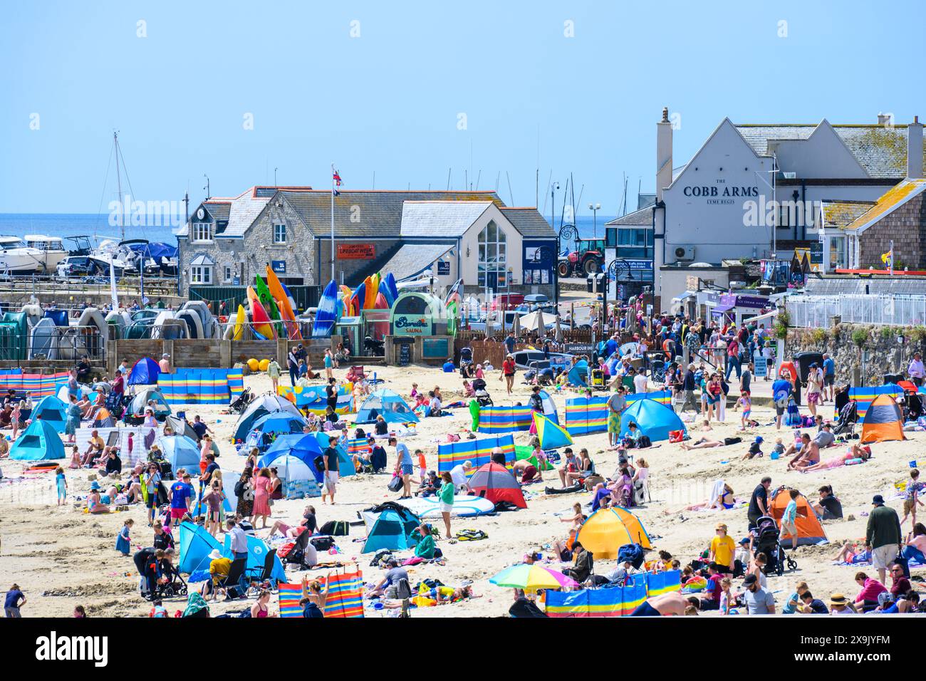 Lyme Regis, Dorset, Regno Unito. 1 giugno 2024. Meteo nel Regno Unito: Famiglie, turisti e bagnanti affollano la spiaggia presso la località balneare di Lyme Regis per godersi il caldo torrido il primo giorno d'estate. Crediti: Celia McMahon/Alamy Live News. Foto Stock