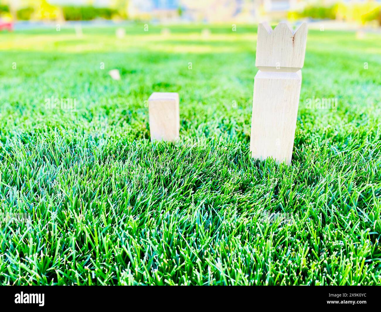 Gioco del prato svedese con kingpin e kubb, campo sullo sfondo Foto Stock