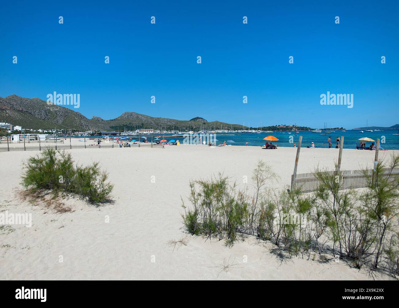Spiaggia di Port Pollenca, Maiorca, Baleari, Spagna Foto Stock