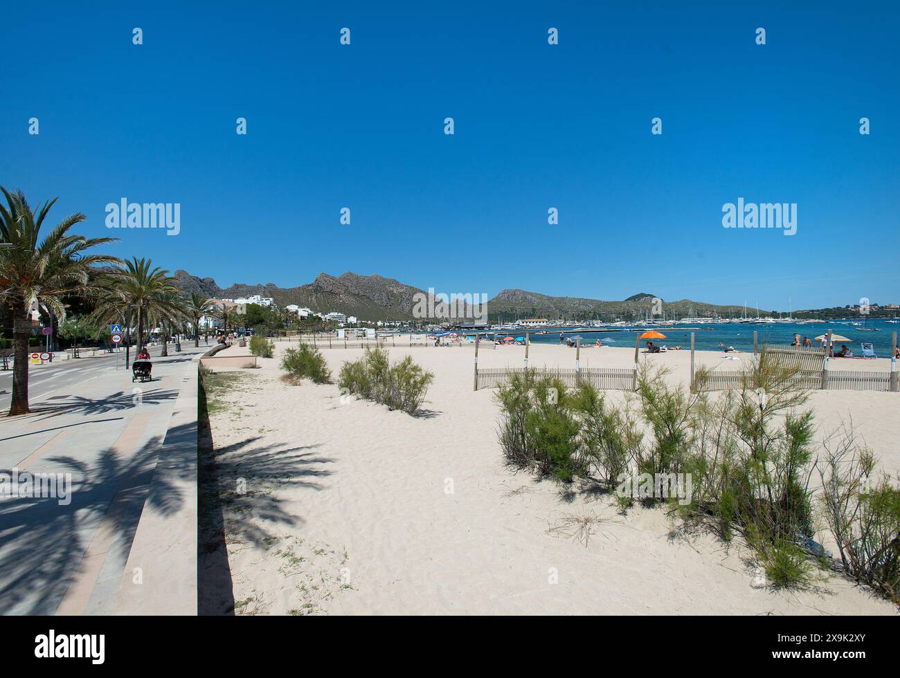 Spiaggia e passeggiata a Port Pollenca, Maiorca, Baleari, Spagna Foto Stock