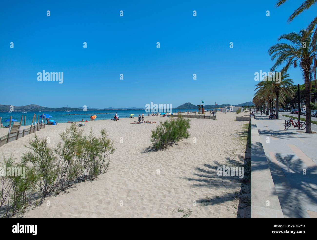 Spiaggia e passeggiata a Port Pollenca, Maiorca, Baleari, Spagna Foto Stock