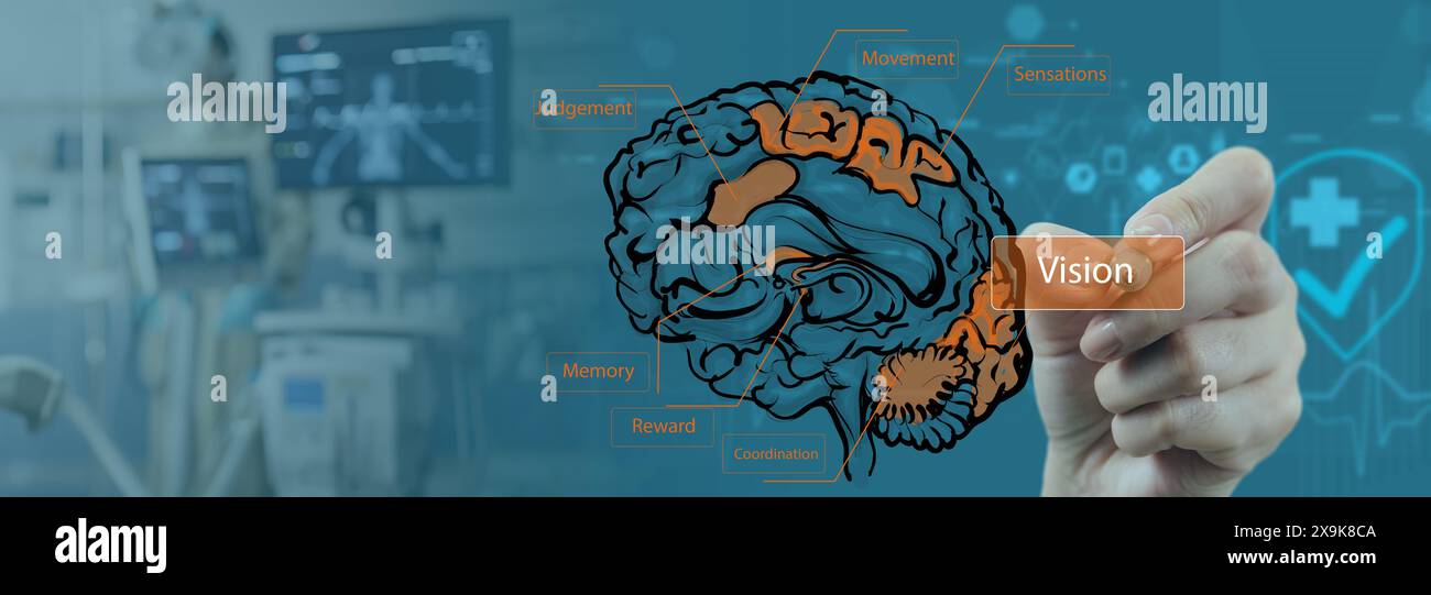 Studio medico delle funzioni e regioni cerebrali Un'illustrazione dettagliata che mostra varie funzioni e regioni cerebrali, sovrapposte con una mano che punta verso Foto Stock