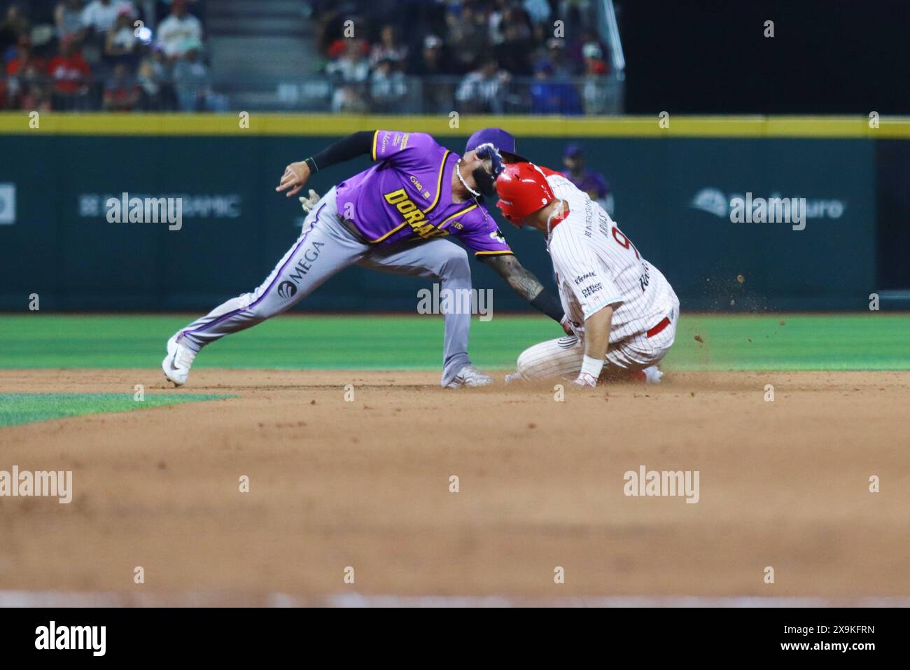 Città del Messico, Messico. 31 maggio 2024. Diosbel Arias #9 di Diablos Rojos scivola in piatto evitando il tag del secondo baseman Carlos Herrera #2 di Dorados de Chihuahua durante la partita 1 della Mexican Baseball League (LMB) tra Dorados de Chihuahua e Diablos Rojos del México, all'Alfredo Harp Helu Stadium. Diablos Rojos sconfigge Dorados de Chihuahua 3-1. Il 31 maggio 2024 a città del Messico, Messico. (Foto di Carlos Santiago/ Eyepix Group/Sipa USA) credito: SIPA USA/Alamy Live News Foto Stock