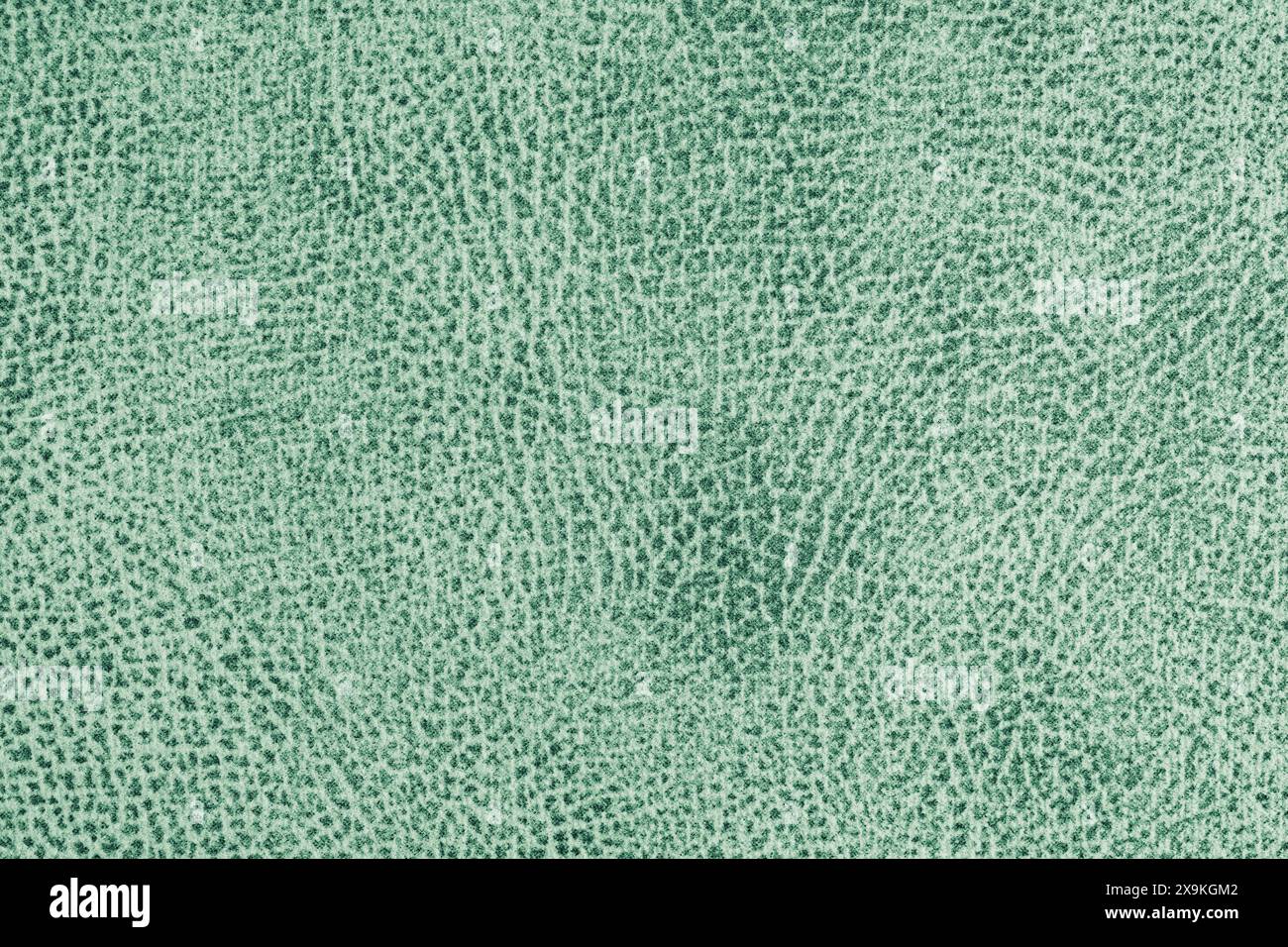 Tessuto verde jacquard con texture astratta primi piani, macro. Tappezzeria, struttura in tessuto decorativo per tende, tela per l'arredamento della casa. Sfondo, Foto Stock