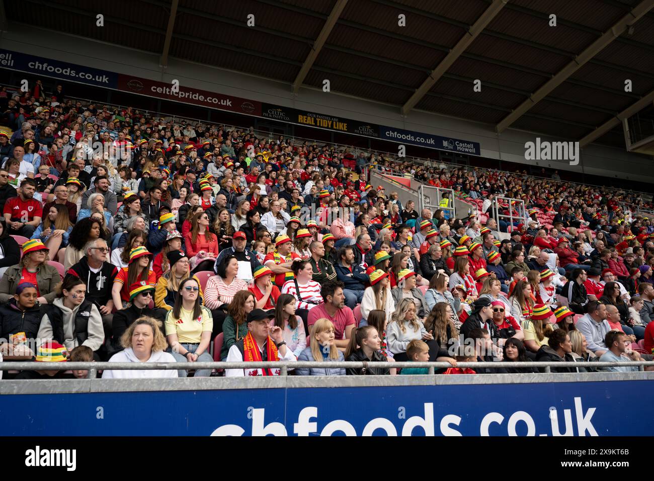 LLANELLI, REGNO UNITO. 31 maggio 2024. Tifosi gallesi durante la partita di qualificazione a Euro 2025 di Lega B tra donne gallesi e donne ucraine al Parc y Scarlets di Llanelli il 31 maggio 2024. (PIC di Ashley Crowden/FAW) credito: Football Association of Wales/Alamy Live News Foto Stock
