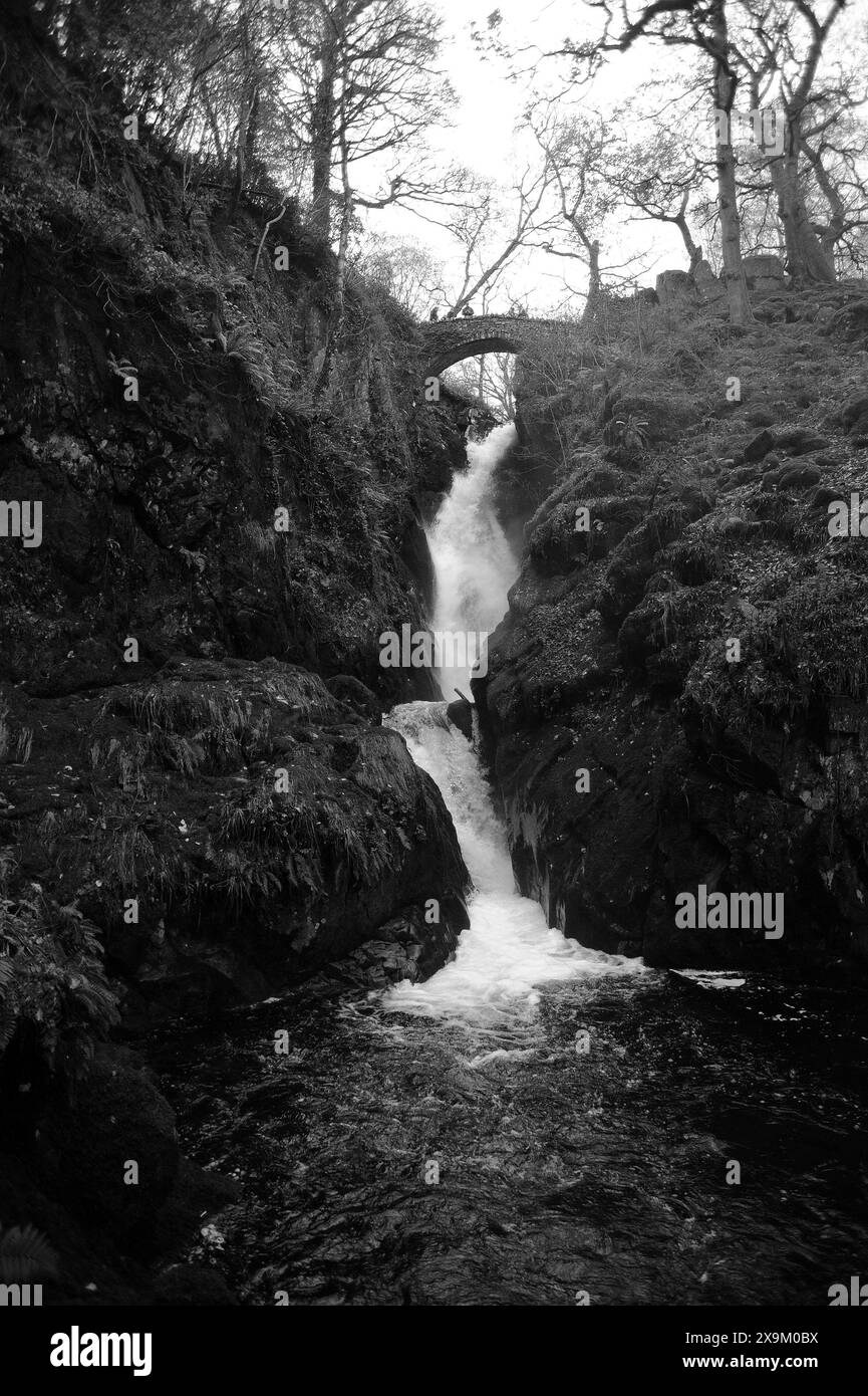 Aira Force, Ullswater. Una caduta di 66 piedi. Foto Stock