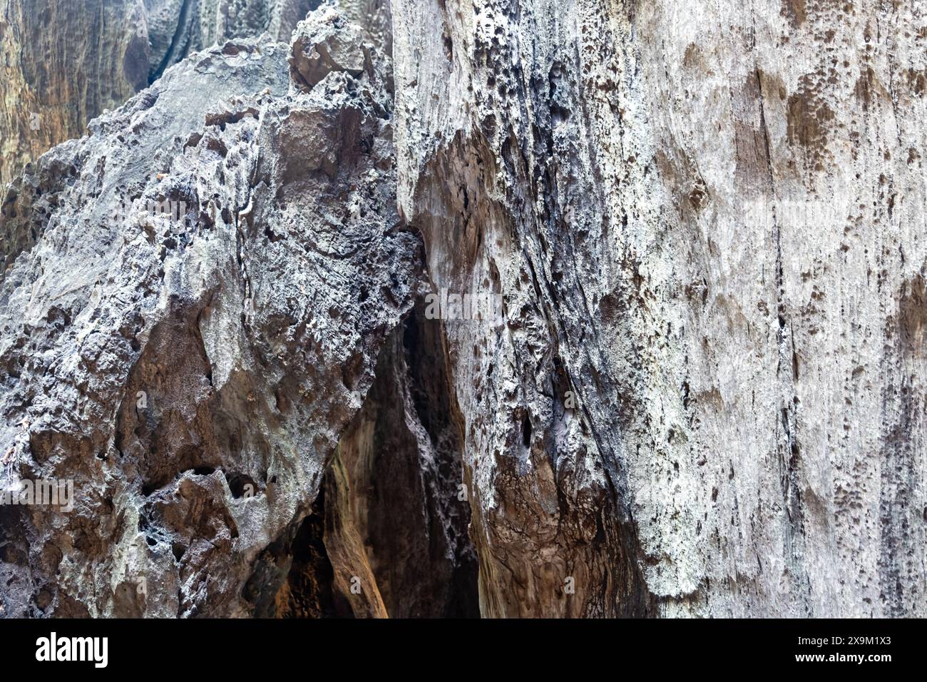 Esplora le profondità mistiche di questa grotta baciata dal sole, dove ti attendono antichi segreti in mezzo all'abbraccio roccioso. Foto Stock