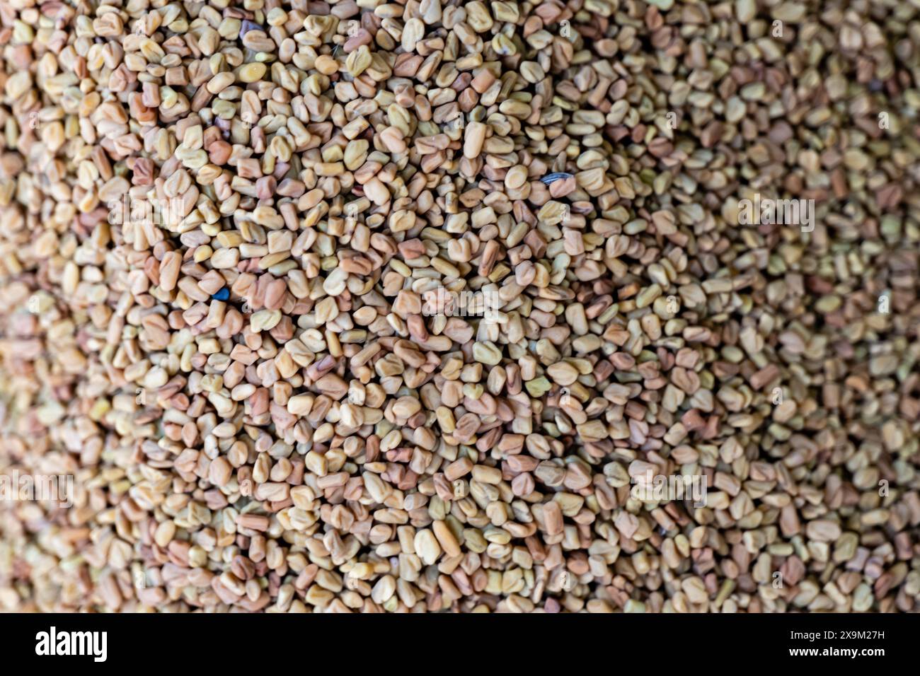 Una vista ravvicinata dei semi di fieno greco giallo dorato esposti in un vivace mercato delle spezie, che evoca tradizioni culinarie e delizie aromatiche. Foto Stock