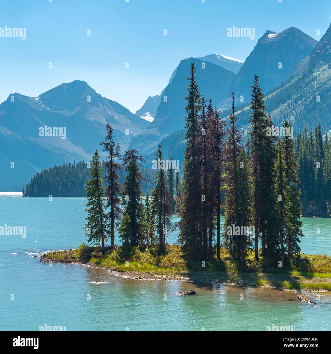 L'iconica Spirit Island e il lago Maligne in estate, il parco nazionale di Jasper, Canada. Foto Stock