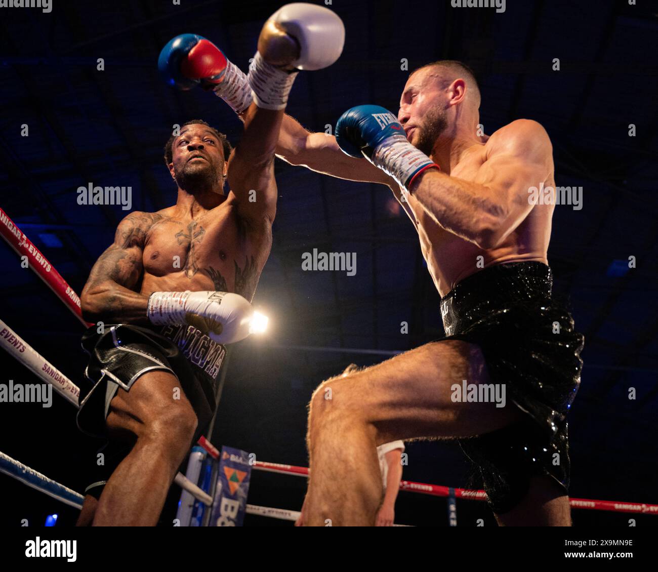 Cardiff, Regno Unito. 1 giugno 2024. Carvell Crocker V Elliot Ebiogbe match di pugilato contro George V Pocock e Tinklin V Dragone per Sanigar Events e West Country Boxing alla vale Sports Arena di Cardiff, Galles. Crediti: Sashshots/Alamy Live News Foto Stock