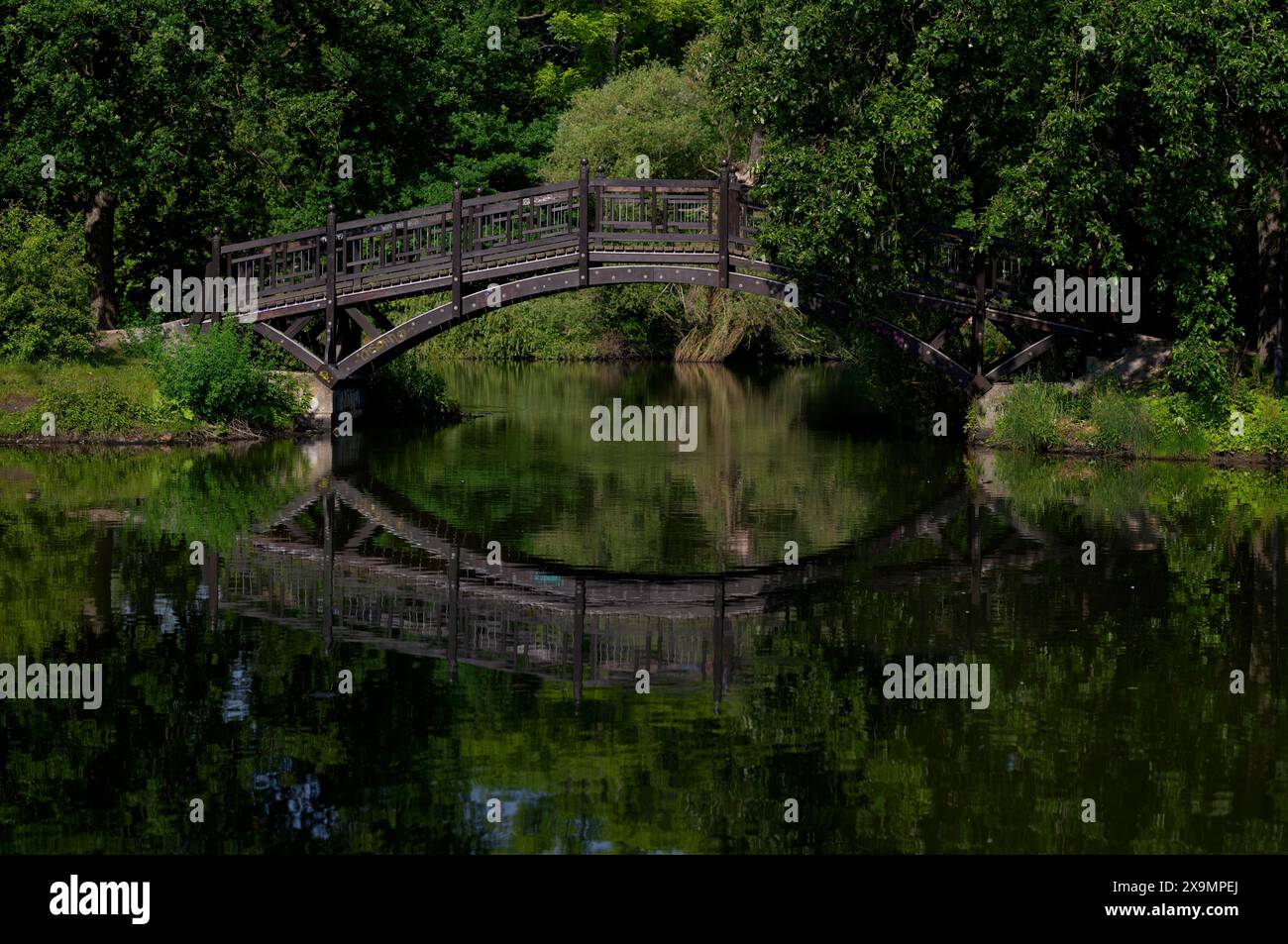 Ponte in legno, ponte nord, stagno Johannapark, Johannapark, Lipsia, Sassonia, Germania Foto Stock