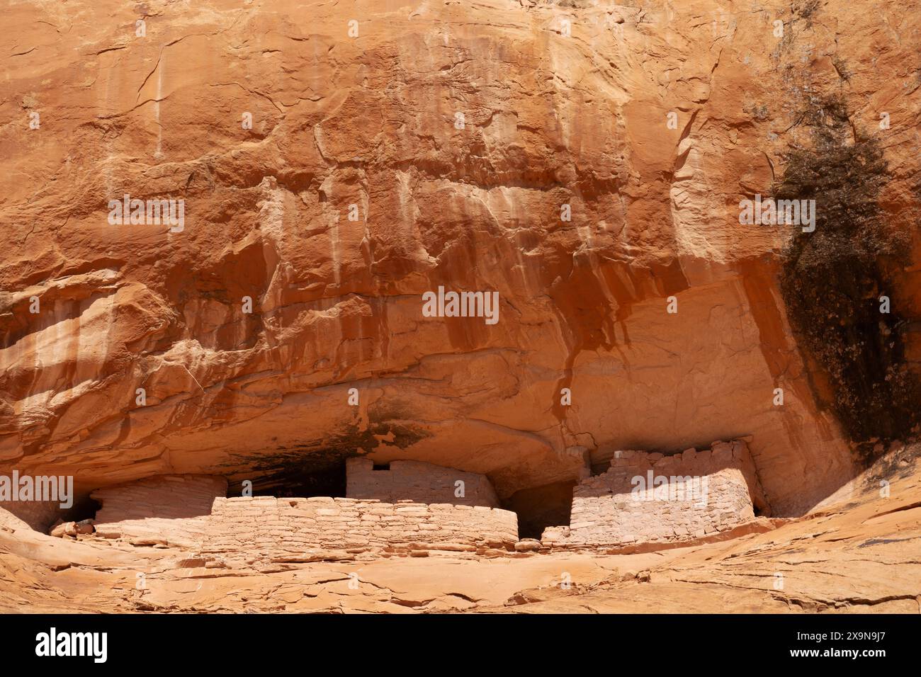 Anasazi scogliera rovina sotto l'alcova scogliera, Chinley Wash, Navajo Nation, Utah Foto Stock