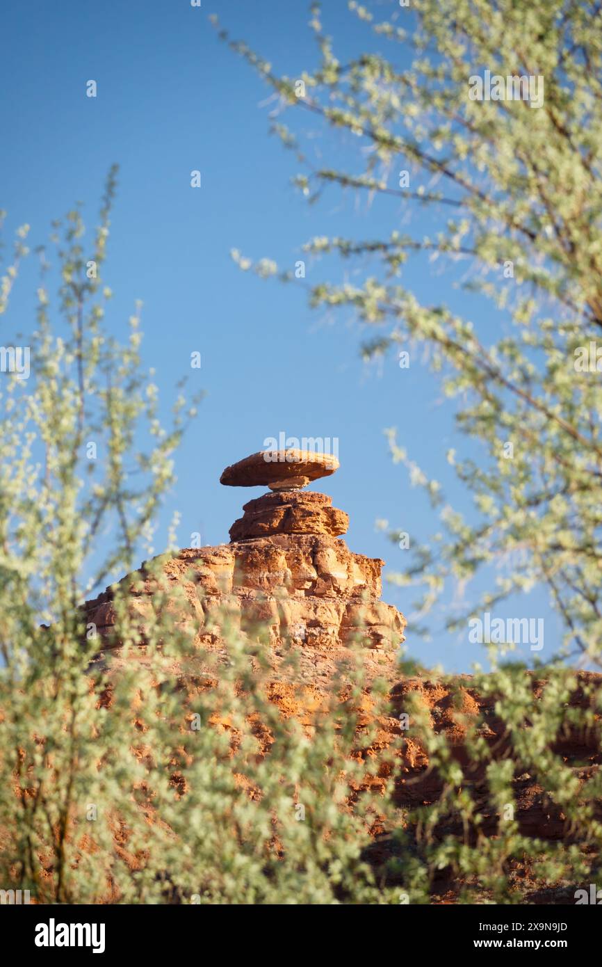Mexican Hat Rock, Mexican Hat, Utah Foto Stock