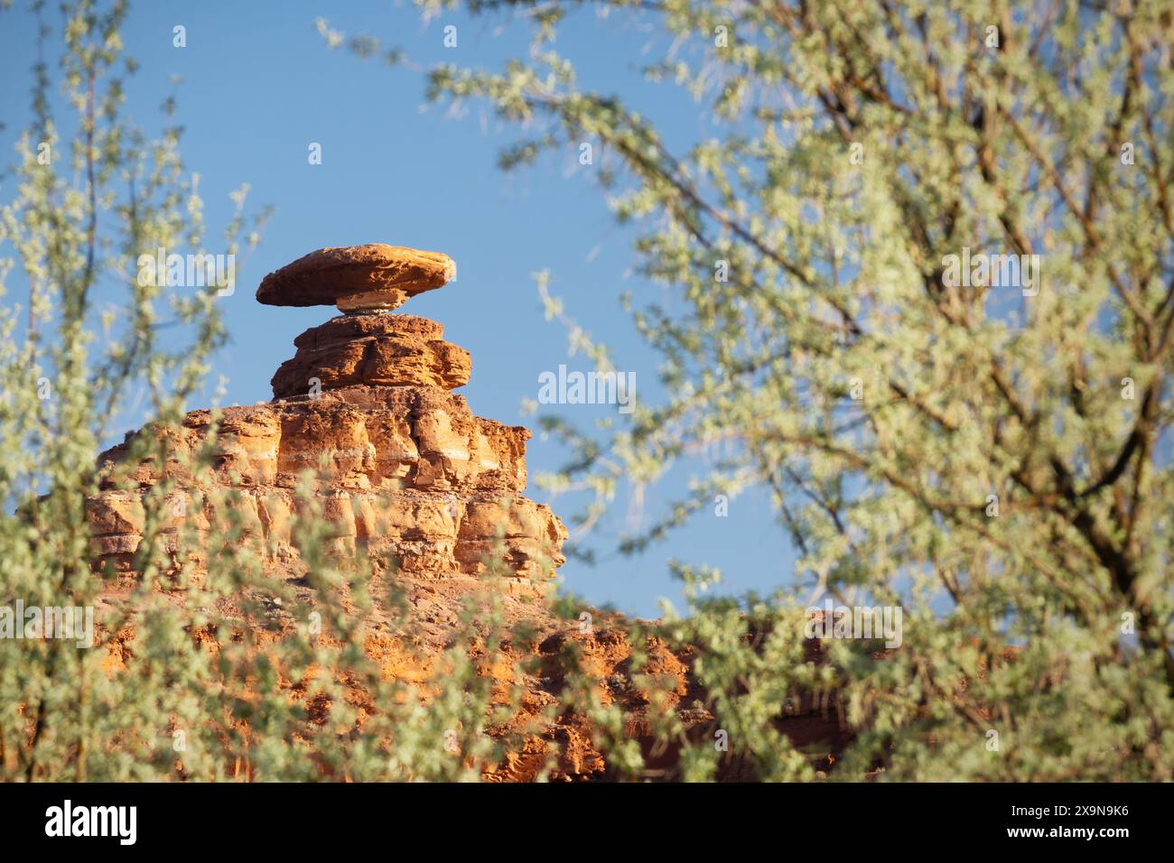 Mexican Hat Rock, Mexican Hat, Utah Foto Stock