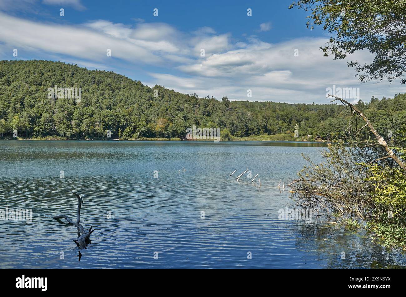 Lago Montiggler Lago grande di Monticolo vicino a Eppan Rep. Appiano, alto Adige, Trentino, Italia Foto Stock