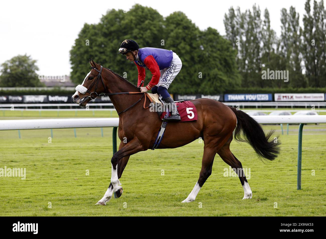 Foto datata 21-05-2022 di King's Lynn, una mancia per il 5,10 di Hamilton. Data di pubblicazione: Domenica 2 giugno 2024. Foto Stock