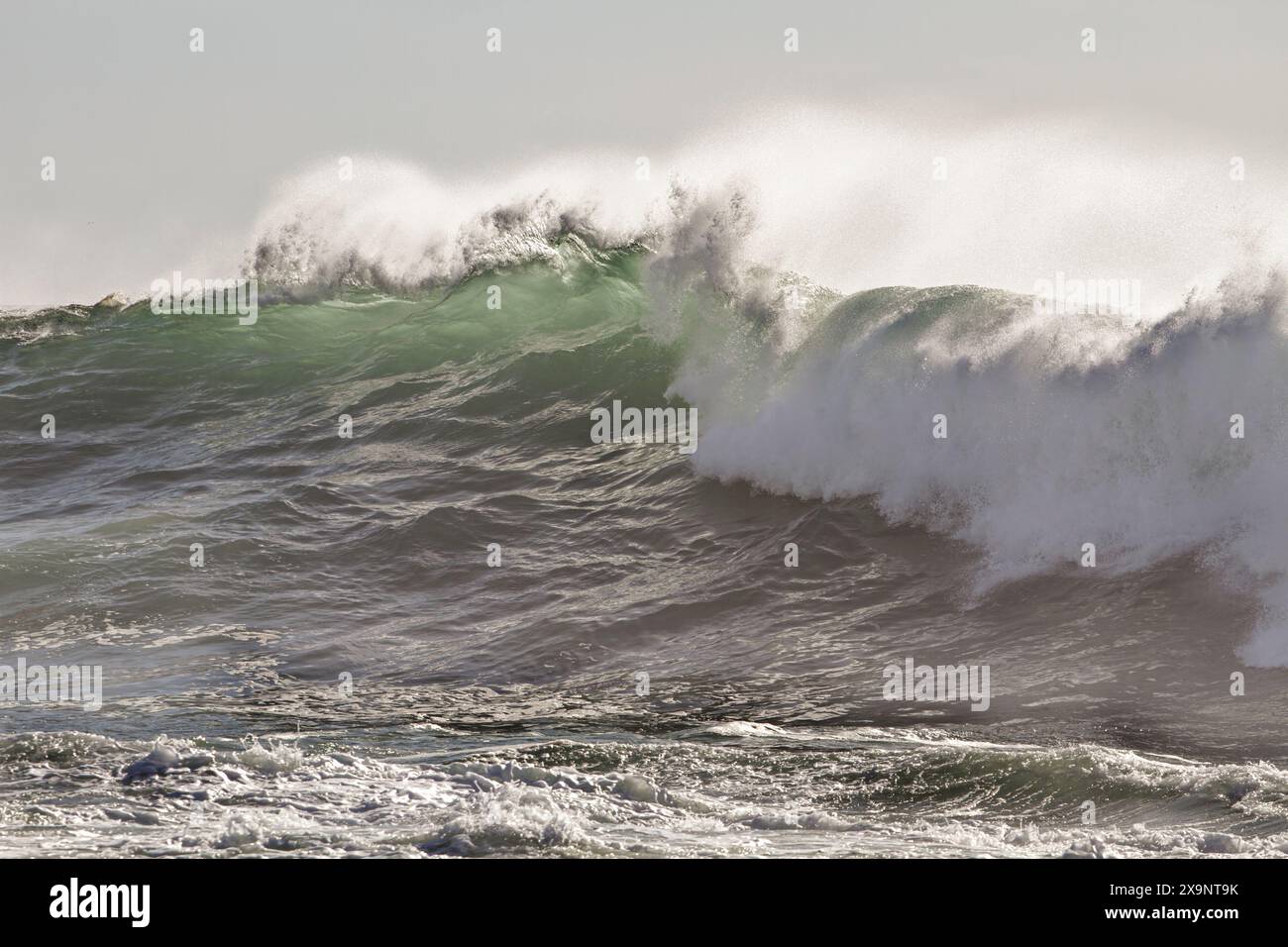 In cima a una grande onda verde dell'oceano con primo piano di spighe Foto Stock