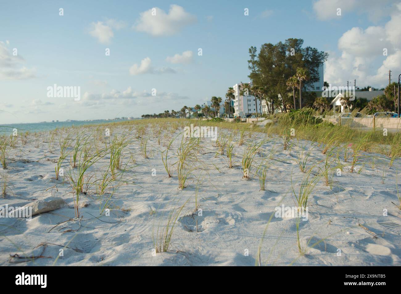 Ampia vista della spiaggia di Pass-a-Grille a St. Pete Beach, Florida, che guarda a nord sopra l'avena verde e la sabbia. Onde in acqua, vicino al tramonto con il blu Foto Stock