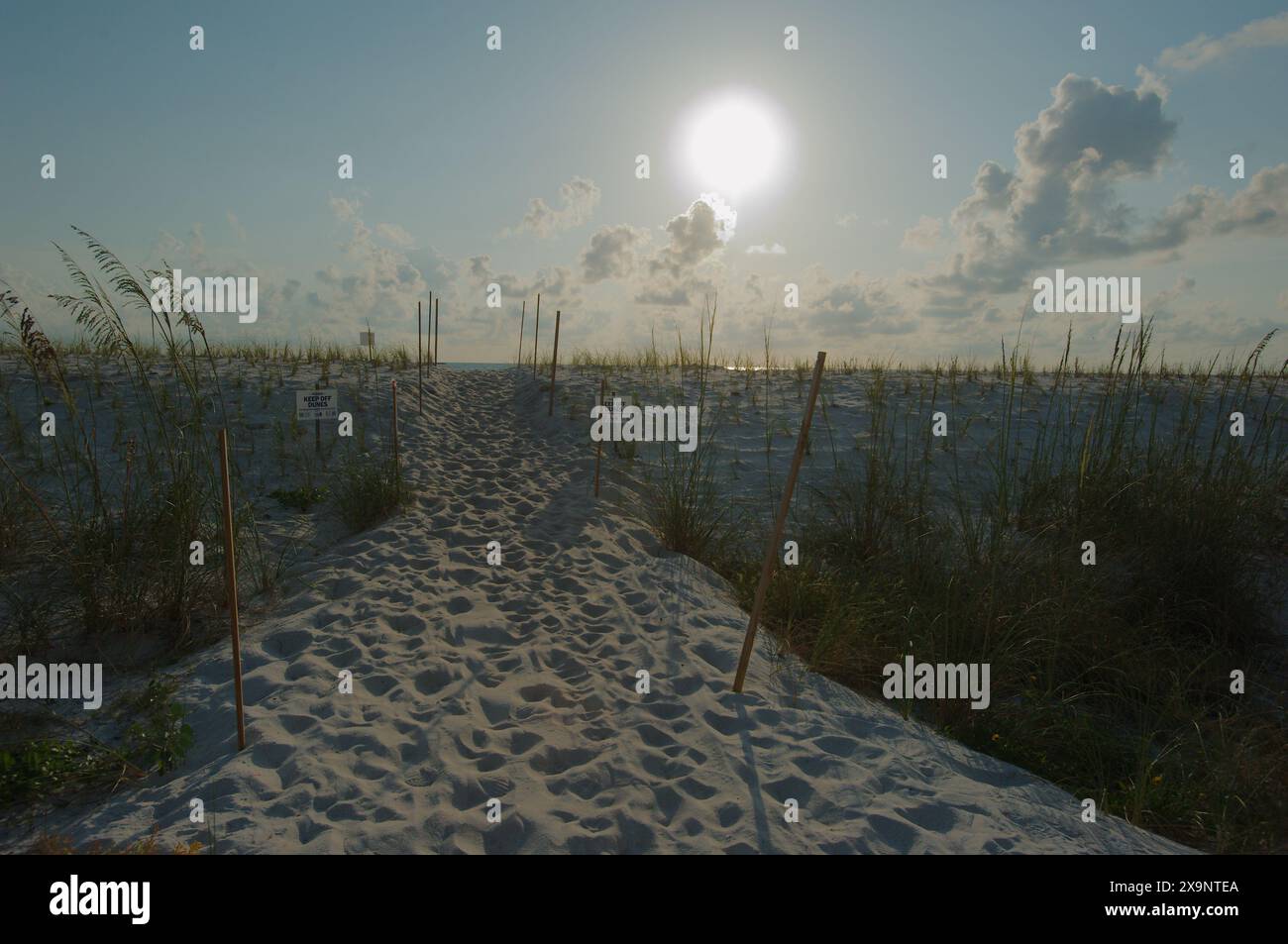 Ampia vista della spiaggia di Pass-a-Grille a St. Pete Beach, Florida, che guarda a ovest su verdi avena e sabbia. Al sole. Linee guida Foto Stock