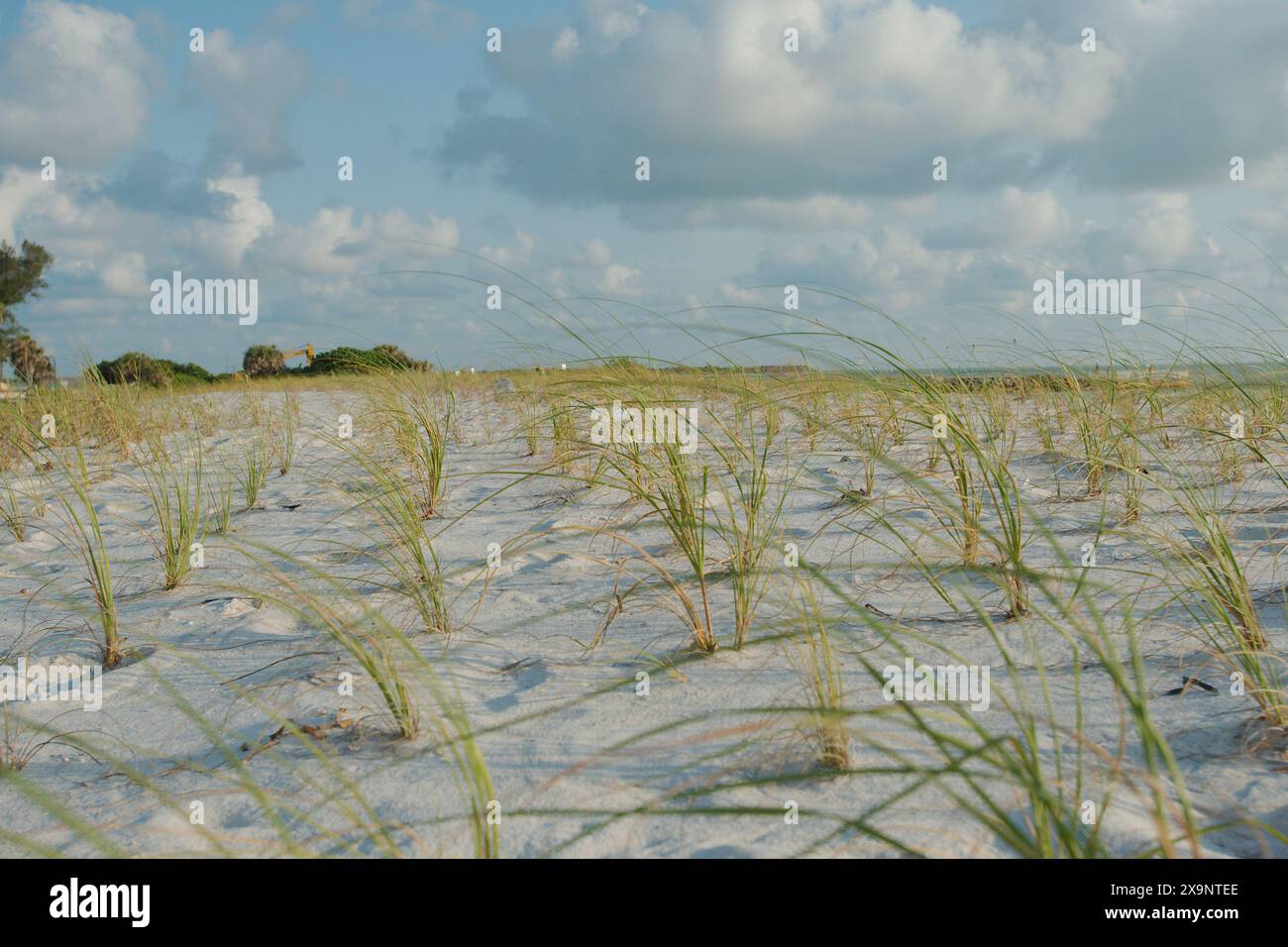 Ampia vista della spiaggia di Pass-a-Grille a St. Pete Beach, Florida, che guarda a sud su verdi avena di mare e sabbia. Onde in acqua, vicino al tramonto con il blu Foto Stock