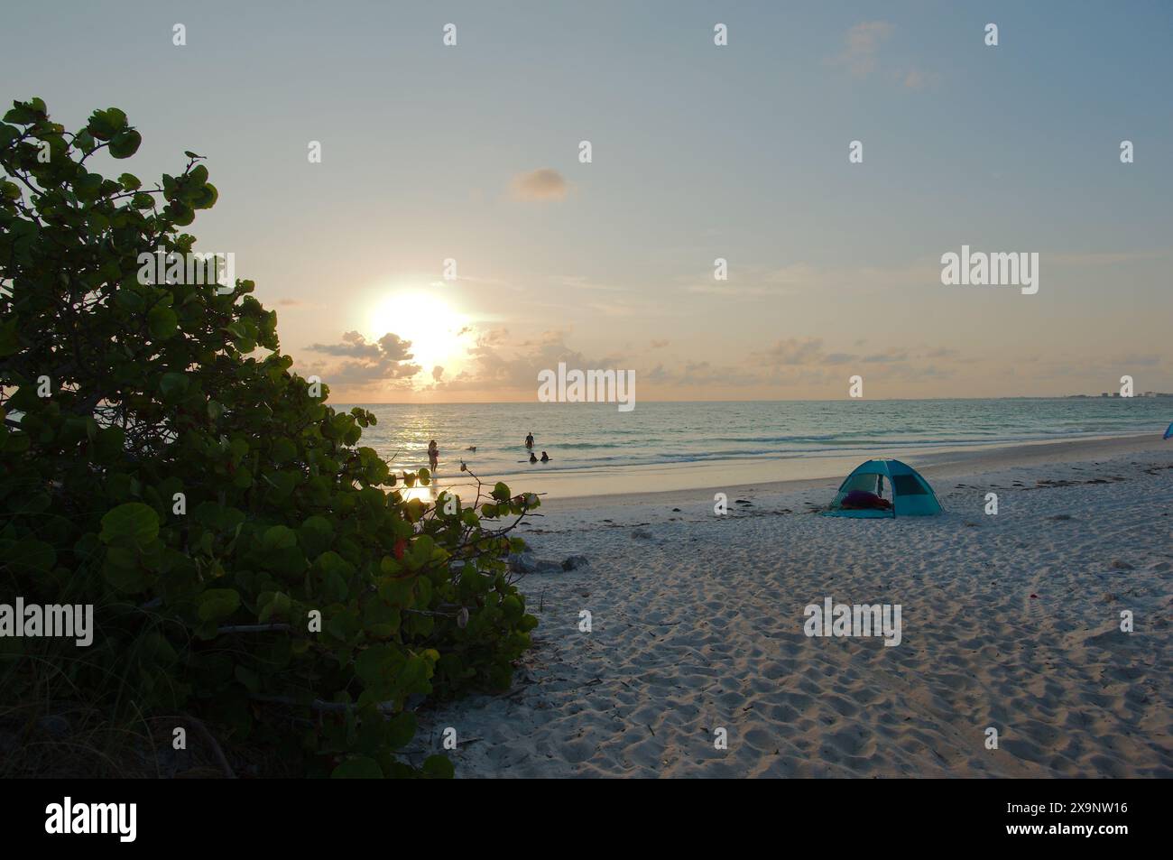 Ampia vista della spiaggia Pass-a-Grille di St. Pete Beach, Florida, che guarda al sole occidentale con cespugli sulla sinistra. Avena di mare, gente in acqua e sabbia. Sole Foto Stock