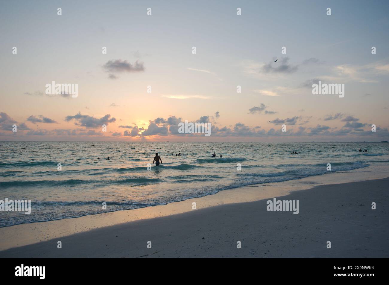 Tramonto alla spiaggia Pass-a-Grille di St Petersburg, Florida. Scarsa illuminazione con più persone in acqua. Bagliore dorato e cielo blu del Sole orizzontale Foto Stock