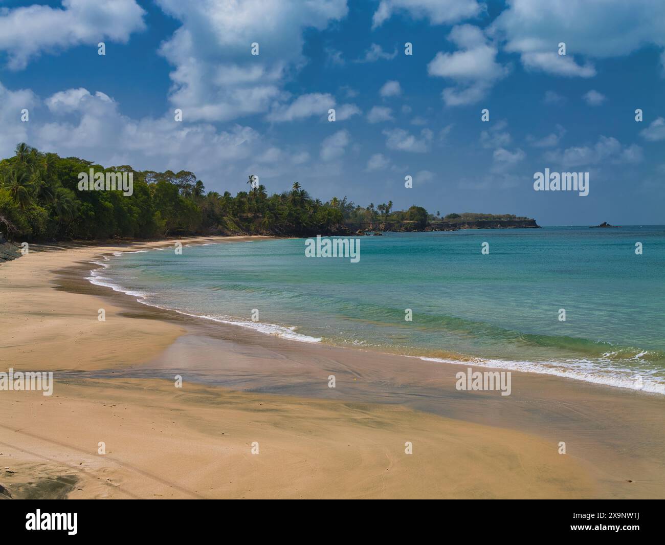 Una spiaggia di sabbia deserta sull'isola di Tobago, nei Caraibi. Scattato in una giornata di sole con nuvole leggere. Foto Stock