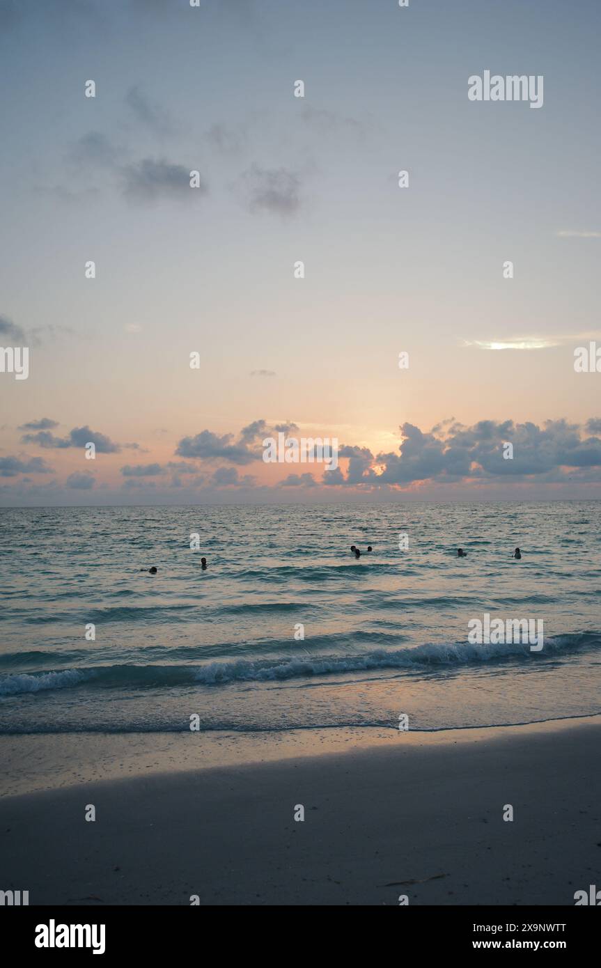 Tramonto alla spiaggia Pass-a-Grille di St Petersburg, Florida. Scarsa illuminazione con più persone in acqua. Bagliore d'oro e cielo blu del sole nella parte posteriore. Foto Stock