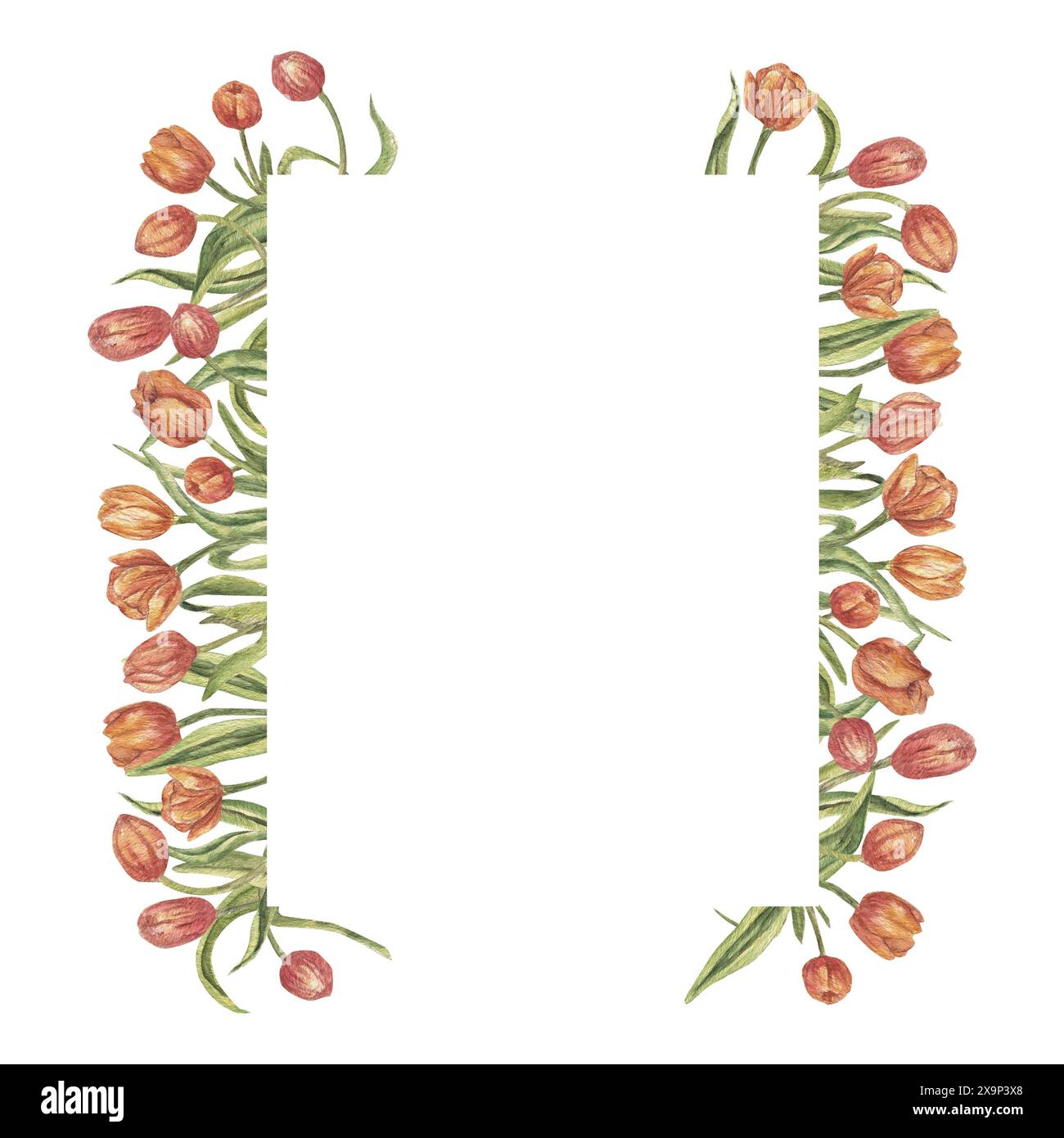 Cornice ad acquerello realizzata con fiori di tulipano con uno spazio vuoto per il testo. Composizione per il disegno di cancelleria, cartoline, auguri di Natale, nozze i Foto Stock