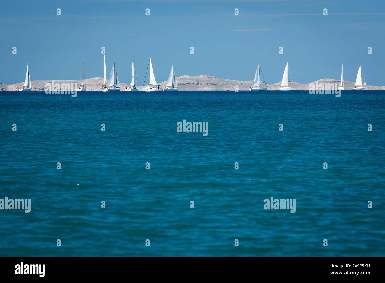 Sport acquatici, regata di gruppo di yacht a vela sul mare Adriatico in Croazia Foto Stock