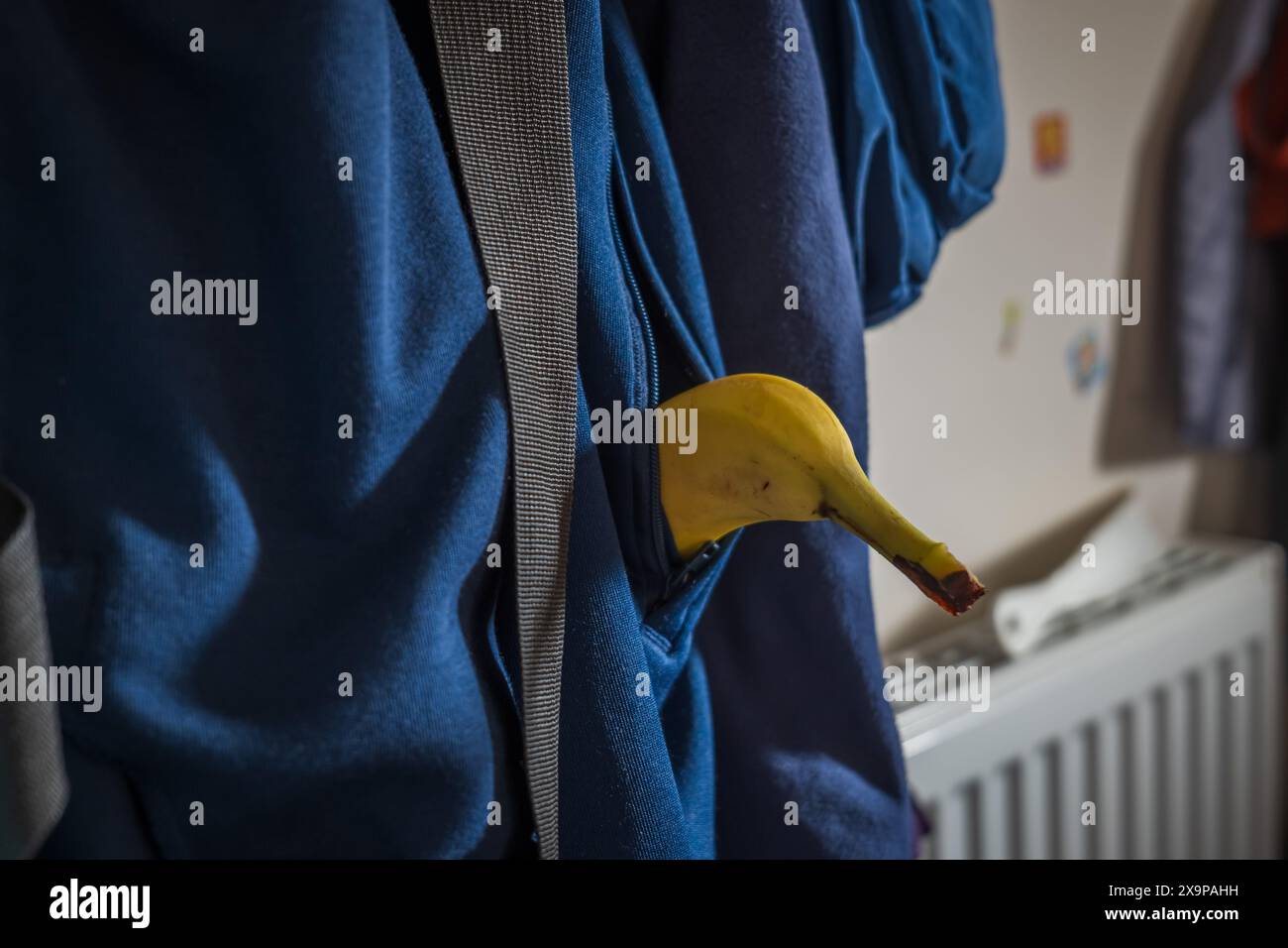 Frutta fresca matura alla banana all'interno della tasca della giacca. Foto Stock