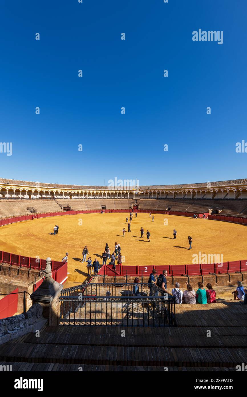 Siviglia, Spagna - 24 ottobre 2023 - Plaza de Toros de la Real Maestranza de Caballería de Sevilla, arena di corrida, simbolo della città. Foto Stock